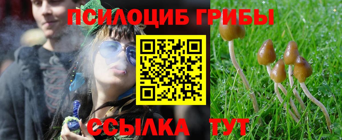 Псков  Псилоцибиновые грибы MAGIC MUSHROOMS  Вход с VPN  Псилоцибиновые грибы Cubensis 