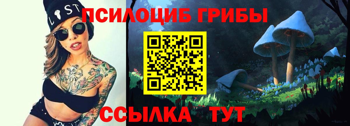 Галлюциногенные грибы MAGIC MUSHROOMS Псков